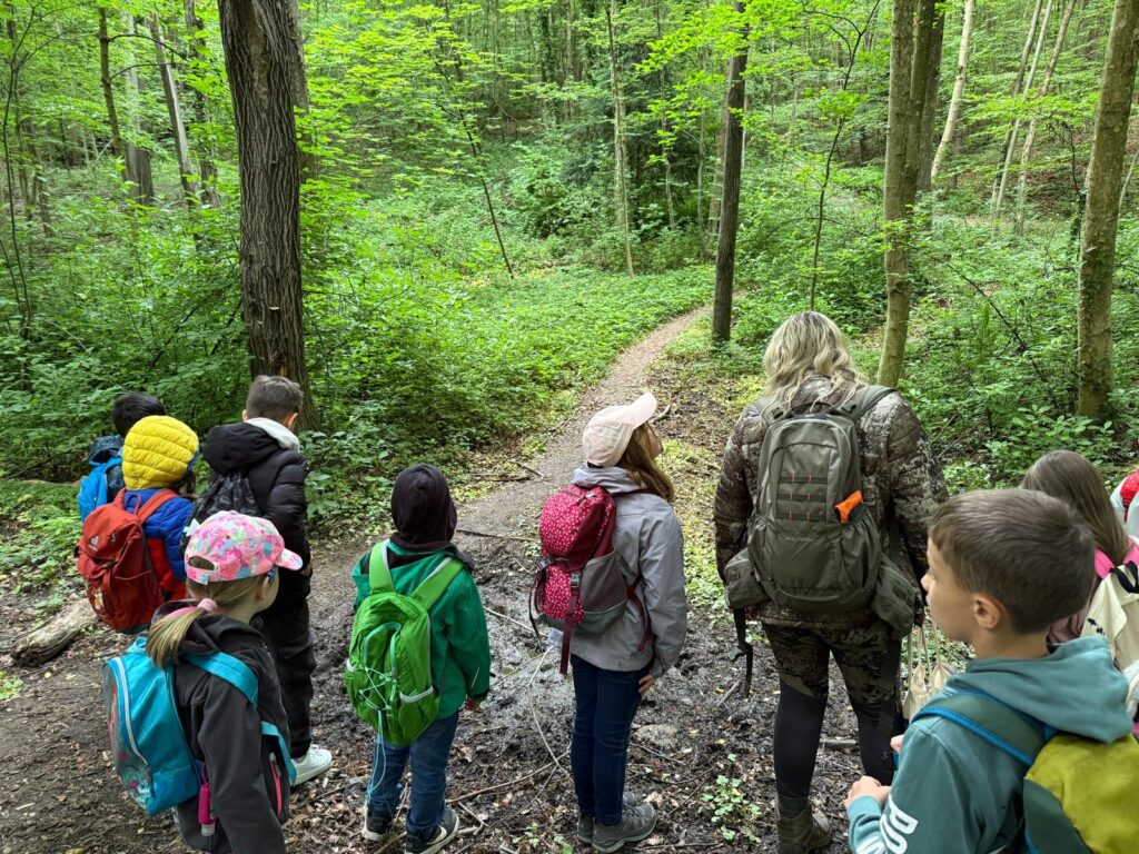 Auf in den Leechwald!