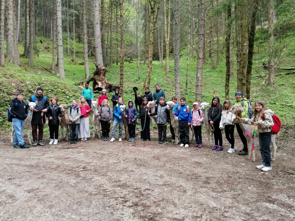 Die 4a auf Projekttage