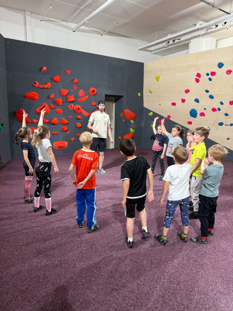 Bienen im Boulderclub