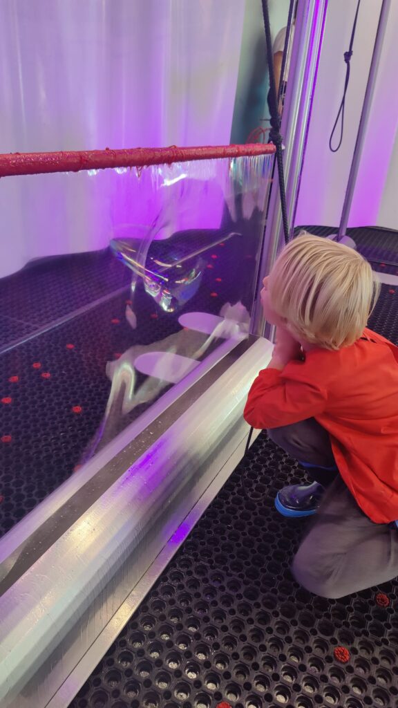 WhatsApp Image 2025-10-23 at 17.32.37 (2)