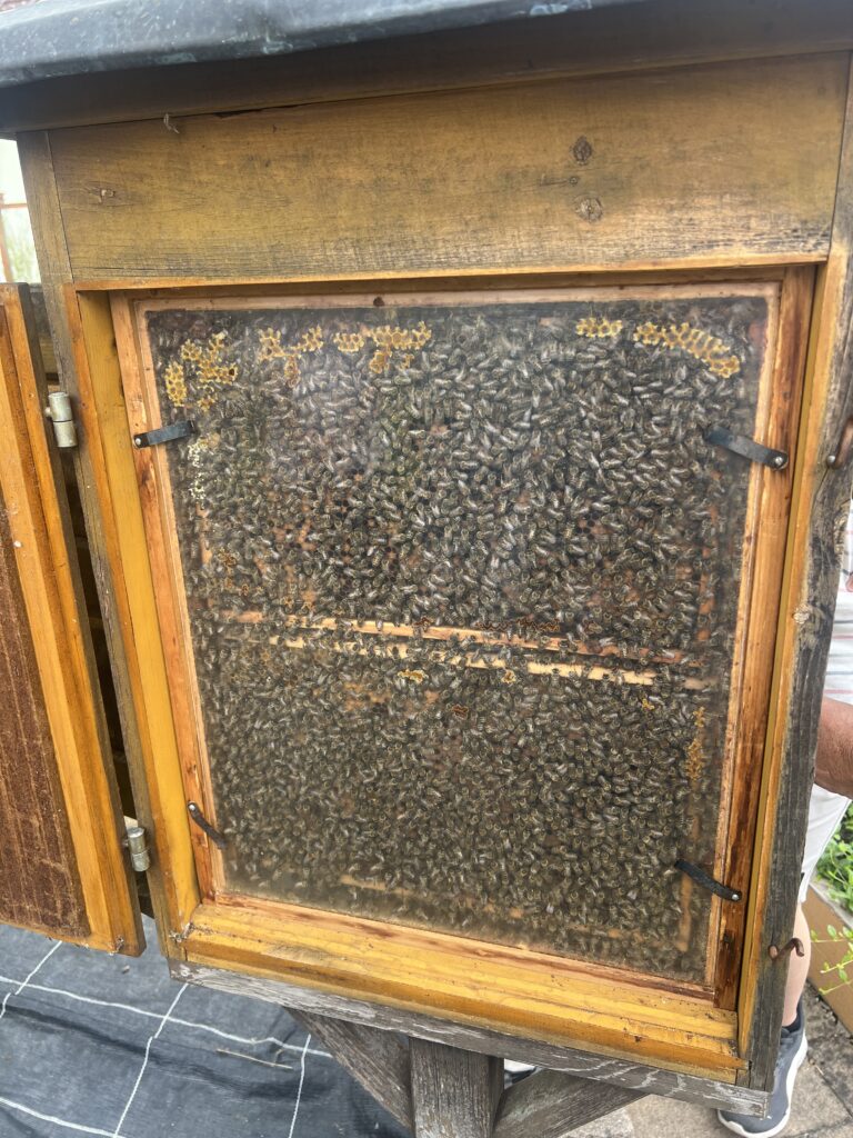 20260511_124933397_iOS