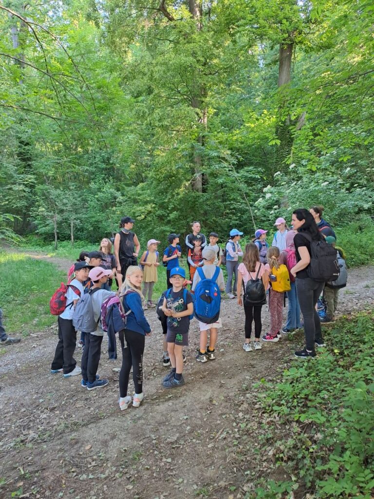 Bild10
