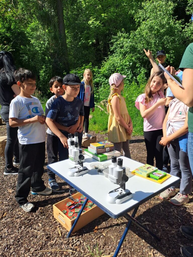 Bild11